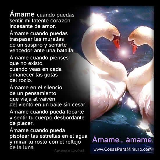 Poes&iacute;a de amor para el d&iacute;a de los enamorados