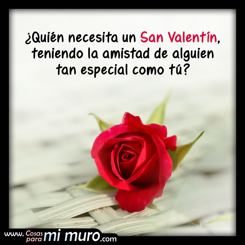 Teniendo tu amistad, &iquest;qui&eacute;n necesita un San Valent&iacute;n?