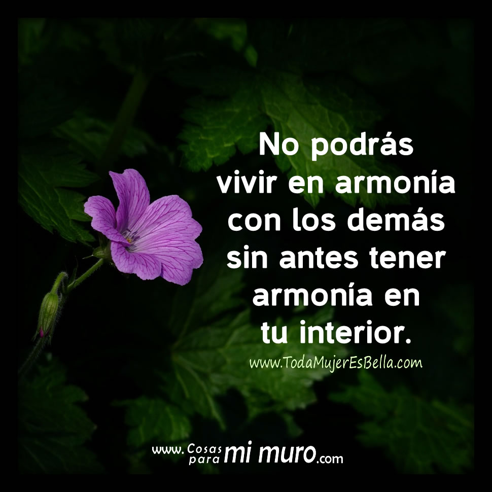 La armon&iacute;a