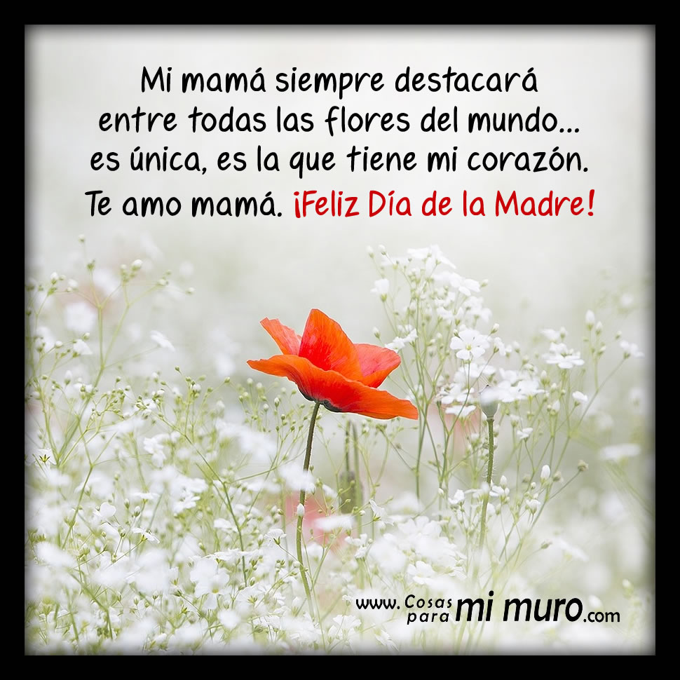 Mamá, tienes mi corazón, feliz Día de la Madre Mamá, tienes mi corazón, feliz Día de la Madre