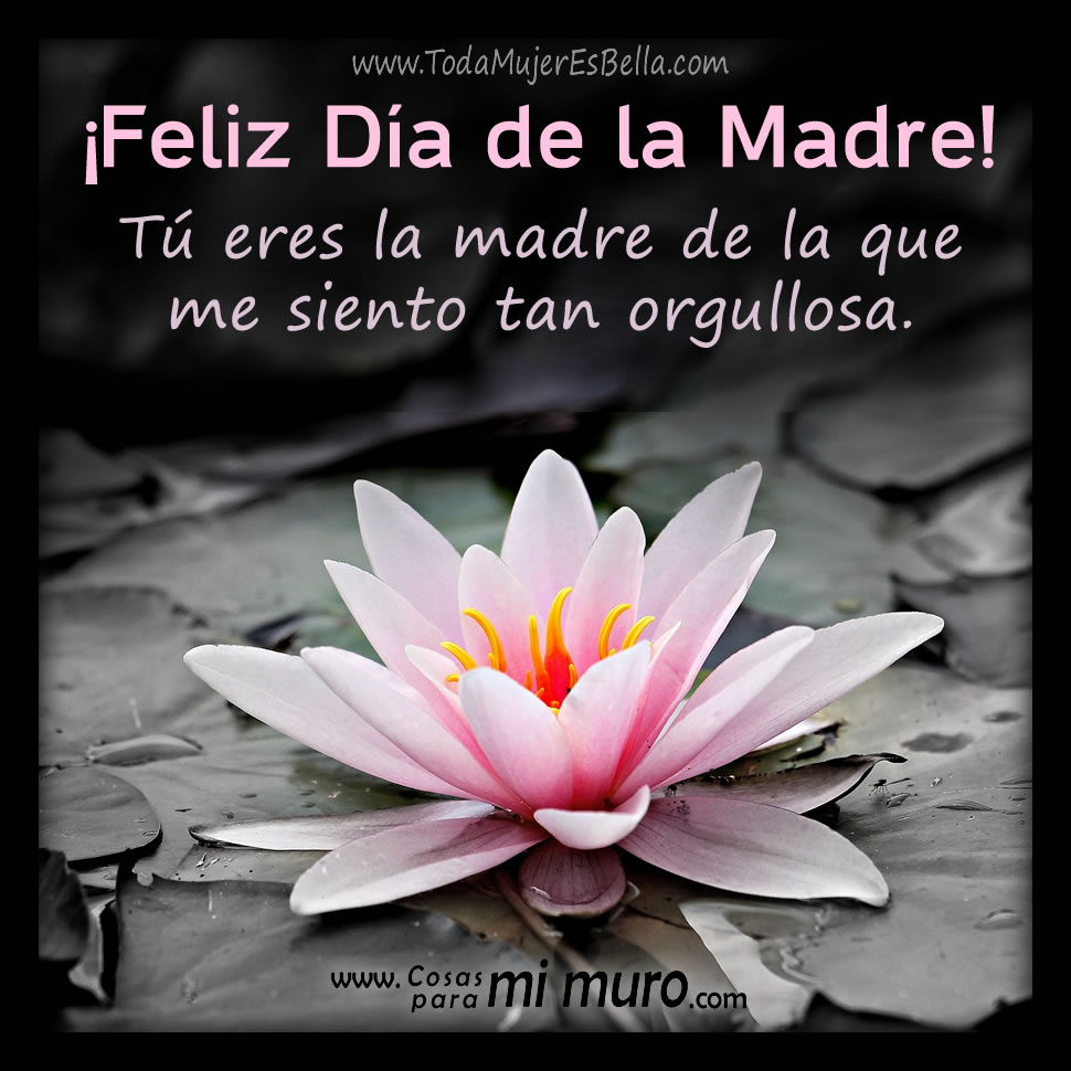 Feliz Día de la madre, estoy orgullosa de ti Feliz Día de la madre, estoy orgullosa de ti