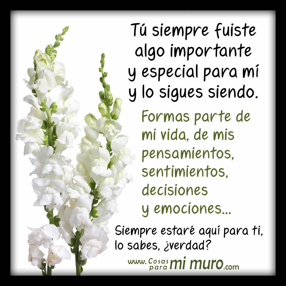 Carta para una amiga