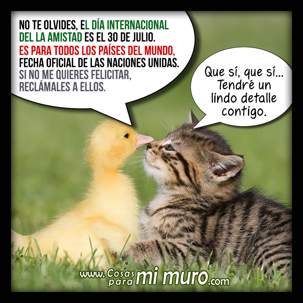 D&iacute;a Internacional de la Amistad