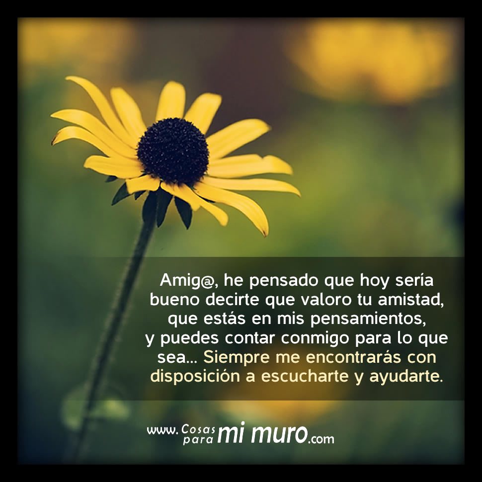 Carta a un amig@