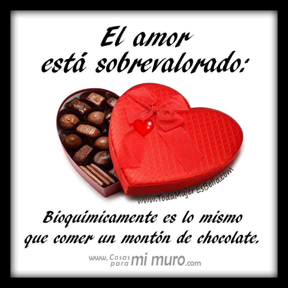 El amor est&aacute; sobrevalorado