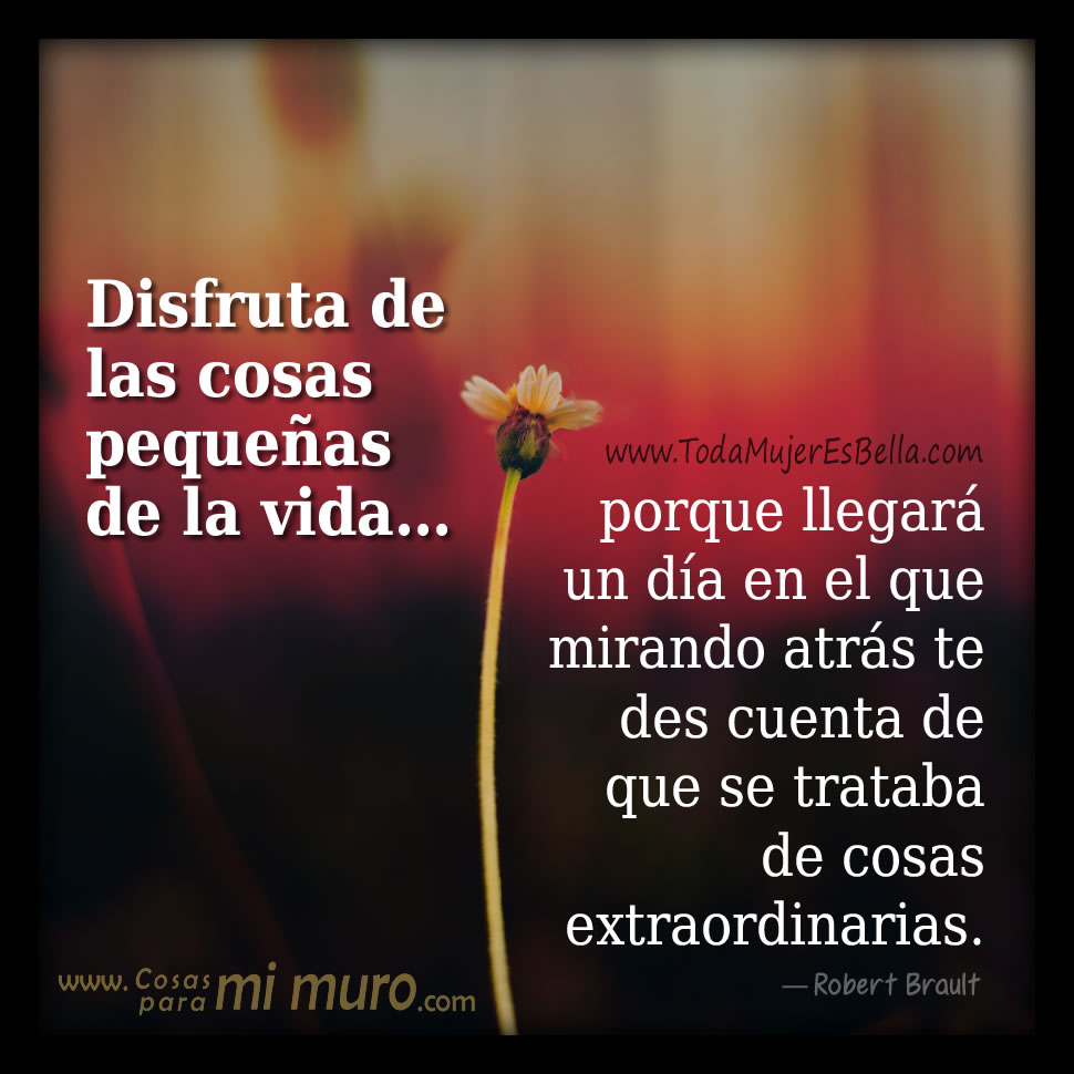 Las cosas peque&ntilde;as de la vida no son tan peque&ntilde;as