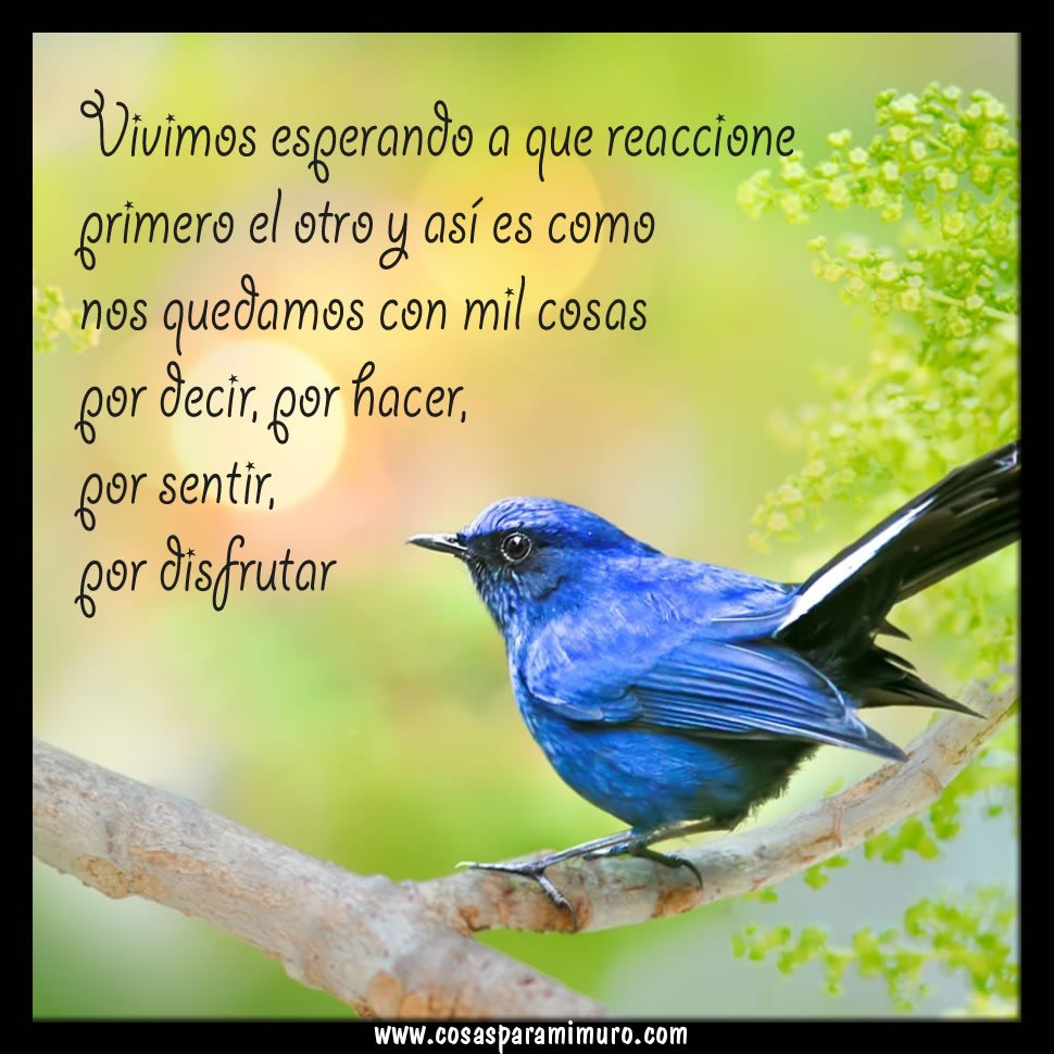 Vivimos esperando