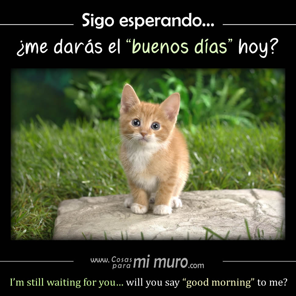Sigo esperando... &iquest;Me dar&aacute;s el BUENOS D&Iacute;AS hoy?
