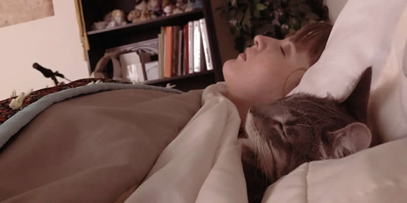 Los ronronos del gato son buenos para tu salud