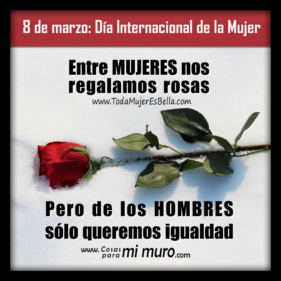 Queremos igualdad, no rosas