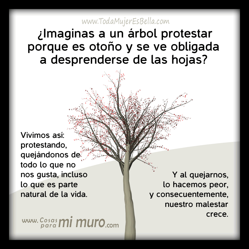 El arbol que se queja del oto&ntilde;o