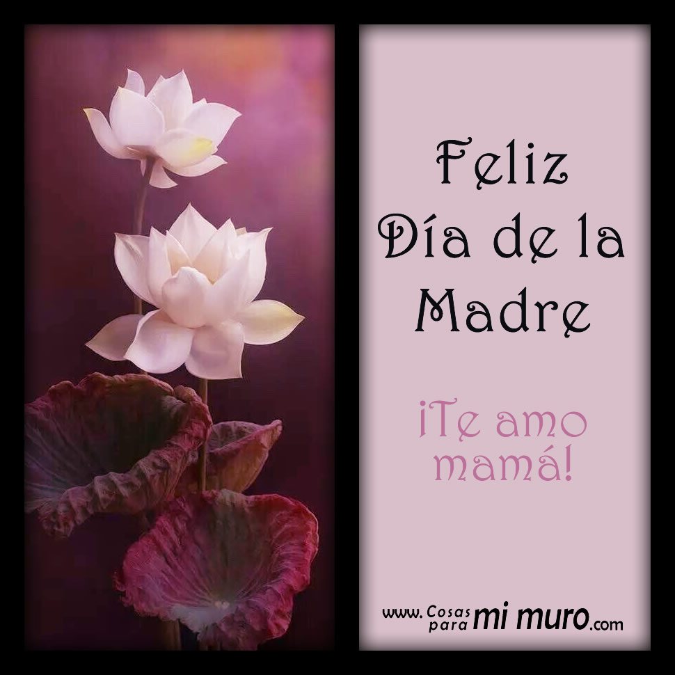 Feliz D&iacute;a de la Madre, &iexcl;te amo mam&aacute;!