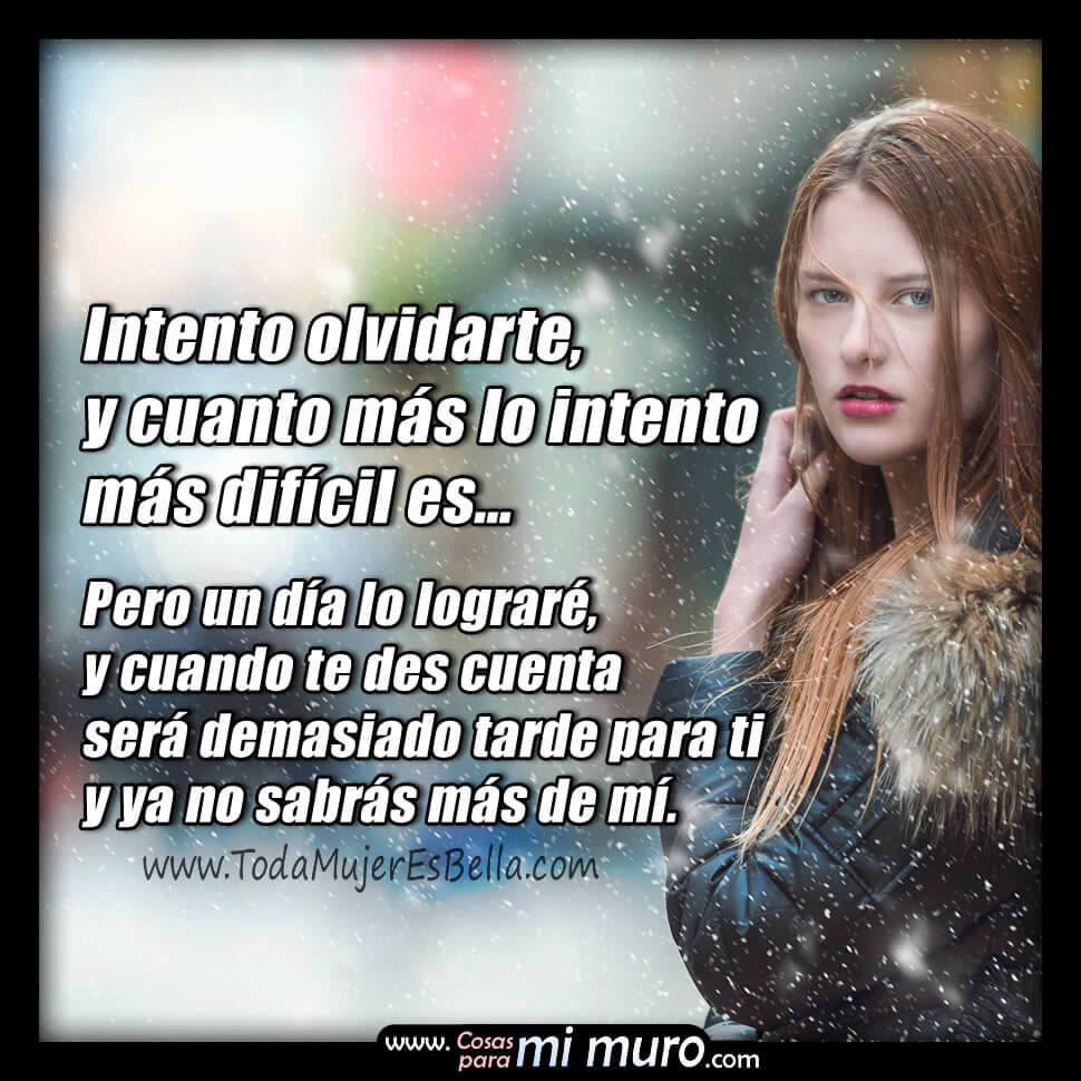 Un d&iacute;a te olvidar&eacute; y no sabr&aacute;s m&aacute;s de m&iacute;