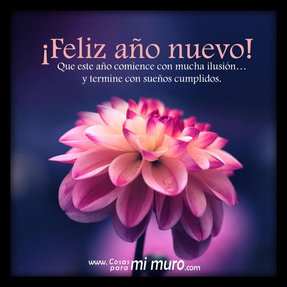 Feliz a&ntilde;o nuevo de ilusi&oacute;n y sue&ntilde;os cumplidos