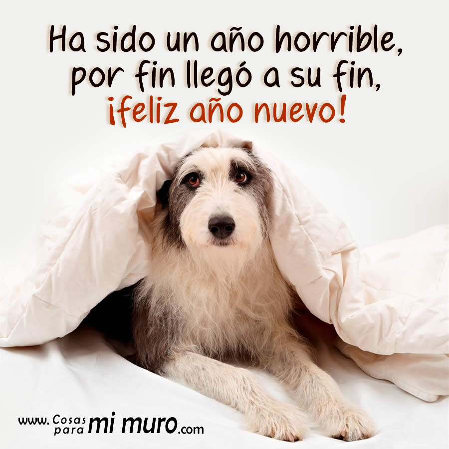 Ha sido un a&ntilde;o horrible