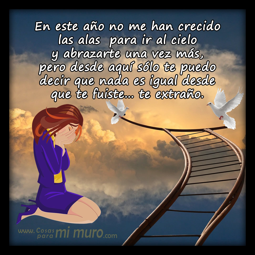 Otro a&ntilde;o m&aacute;s sin ti