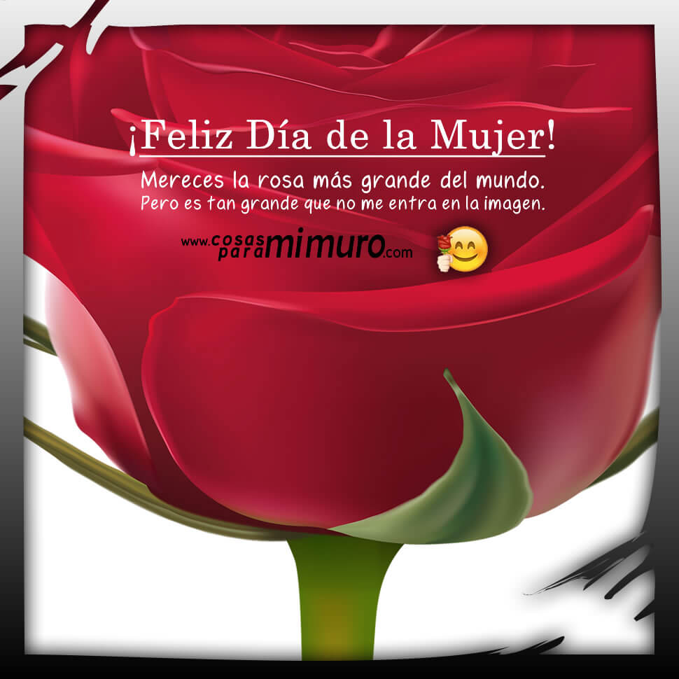 Enorme flore para el D&iacute;a de la Mujer
