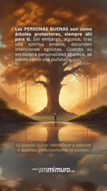 Imagen completa